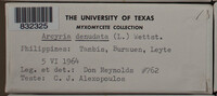 Arcyria denudata image